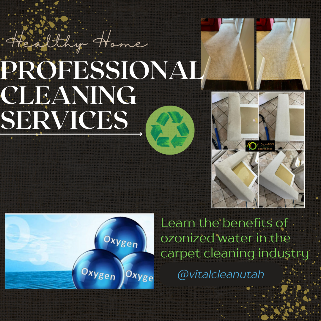 Vital Clean Carpet Cleaning Image